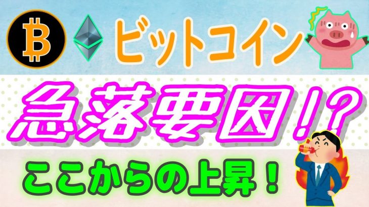 【 ビットコイン（BTC）】急落要因はコレ！【仮想通貨】最新イーサリアムETFとビットコインETF