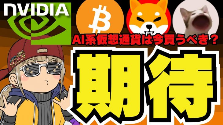 【🔥NVIDIA決算でAIコインに動き！】買うべきなのか？ビットコインの動きは？／11月以降に上昇？大統領選に注目！ハリス氏の含み益課税って本気？／ミームコインはPOPCATに注目・ドージ柴犬