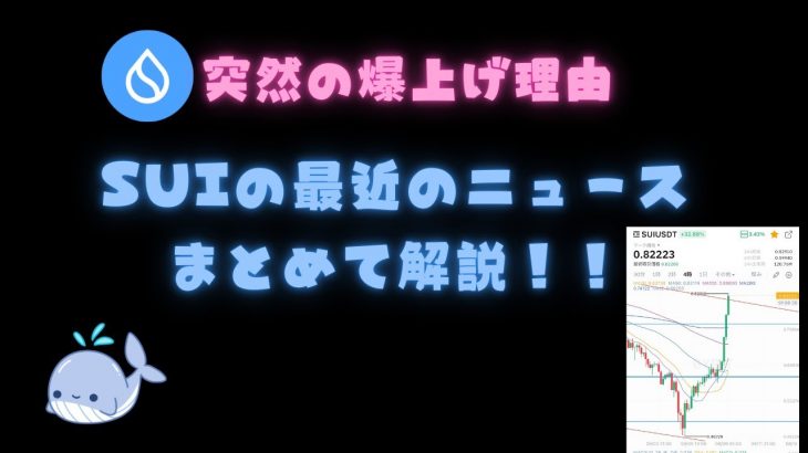 SUI突然の爆上げ！？理由は！？SUIの最近のニュースをまとめて解説！！