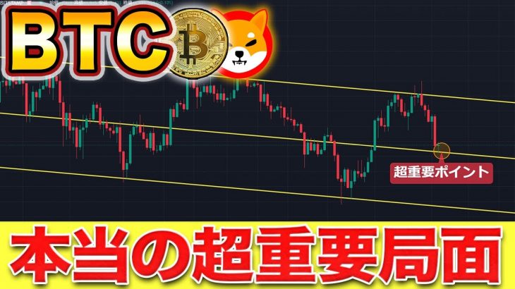 【仮想通貨】必見!!ビットコイン本当の重要局面へ。ここからの展望をイーサリアム、シバコインも含めて超わかりやすく徹底解説!!