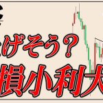 ビットコイン謎の買い支えで目先上昇傾向。損小利大の真の使い方を理屈でわかりやすく解説