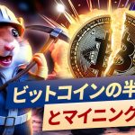 ハムスターアカデミー。ビットコインの半減期とマイニング: 基本知識