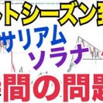 イーサリアム2024年内史上最高値更新は無理！？ソラナ過小評価！？アルトシーズン到来時間の問題か！？