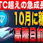 【最新情報】BTCやETHを超えたTONコイン！既に利益を取れている方も多数の注目コインを徹底解説！【リップル】【シバコイン】【イーサリアム】【XRP】【SHIB】【DOGE】【Ethereum】