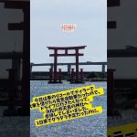 10月21日のシバイヌ #仮想通貨バブル #仮想通貨 #shibainu #暗号資産 #shibainucoin