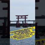 10月22日のシバイヌ #仮想通貨バブル #仮想通貨 #shibainu #暗号資産 #shibainucoin