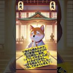 10月9日のシバイヌ #仮想通貨バブル #仮想通貨 #shibainu #暗号資産 #shibainucoin