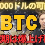 【BTC】ビットコインは半減期周期で爆上げする！10万ドルも夢じゃない！