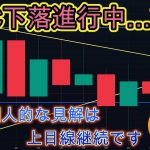 ビットコインの現状を解説、今後の展開など注目すべき点を網羅！！暗号資産（仮想通貨）【BTC、DOGE、TIA、APT】