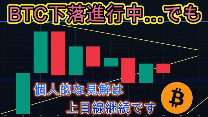 ビットコインの現状を解説、今後の展開など注目すべき点を網羅！！暗号資産（仮想通貨）【BTC、DOGE、TIA、APT】