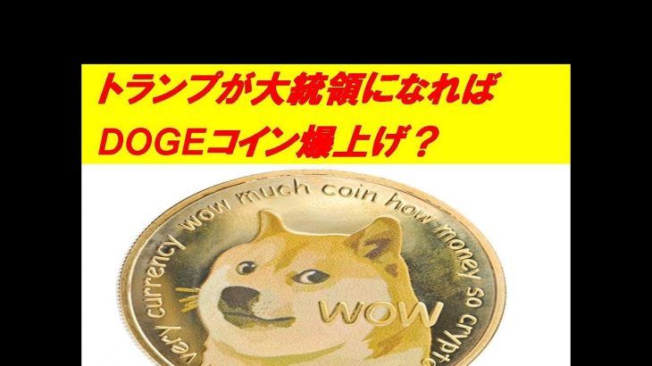 トランプが大統領になれば【DOGEコイン爆上げ？】