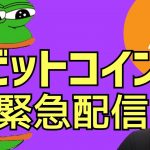 💥ビットコイン緊急配信！このまま下がるのか？それともこれが底固め！？💥