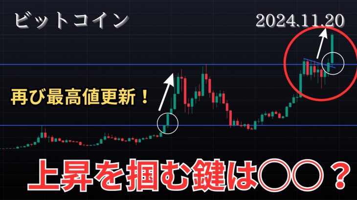 11/20仮想通貨相場分析 ビットコイン最高値更新‼️このまま10万ドルまで　BTC、ETH、SOL、SUI、XRP、GOLDチャート分析