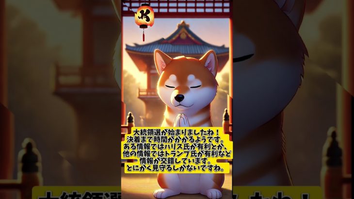 11月5日のシバイヌ #仮想通貨バブル #仮想通貨 #shibainu #暗号資産 #shibainucoin