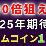 【200倍狙い】２０２５年爆上げ期待のミームコイン10選！【バブルに備えよ！】