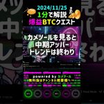 【2024/11/25】 #ビットコイン #btcusd #仮想通貨 #半減期#トランプ大統領 #デイトレ #voicevoxずんだもん