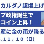 ADAカルダノ超爆上げ！トランプ政権誕生でビットコイン上昇！暗号資産に金の雨が降るぞ！【2024年11月10日版】