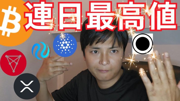 ビットコイン連日最高値更新、複数アルトコインもATH間近【仮想通貨 暗号通貨 暗号資産 BTC ETH XRP BNB SOL ADA TRX APT INJ 他】