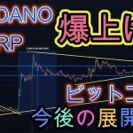 XRP、CARDANO共に爆上げ！！今後の展開解説。ビットコインは再度注目のラインに挑戦なるか。暗号資産（仮想通貨）【BTC、ADA、XRP】