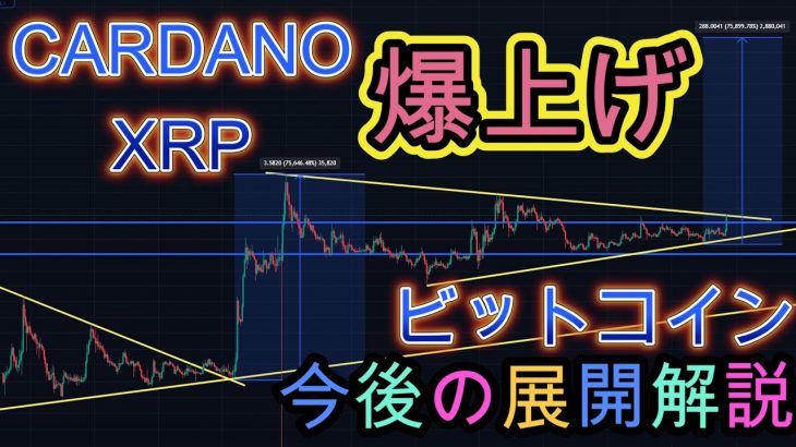 XRP、CARDANO共に爆上げ！！今後の展開解説。ビットコインは再度注目のラインに挑戦なるか。暗号資産（仮想通貨）【BTC、ADA、XRP】