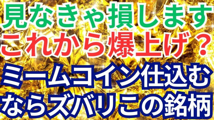 見なきゃ損します！！これから爆上げ？ミームコイン仕込むならズバリこの銘柄　ai16z？Kaspa？DOG？