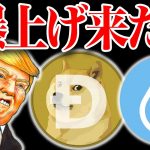 【トランプ爆上げ来たぞ！！】glass超える？放置系エアドロをまだやってない人はやりましょう。【仮想通貨】【エアドロップ】