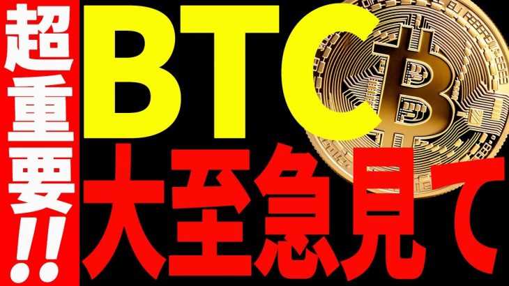 ⚠️大至急見て⚠️ビットコイン爆上げ！だけど下落に注意⁉︎今後の最新戦略を共有！【仮想通貨】