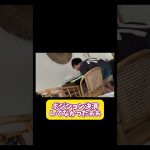 弟がビットコインバブルで失敗した😱   🍌バナナヘッド🍌 #バナナヘッド #ミスターケン #ミスターケン弟 #サバイバル #仮想通貨 #ビットコイン