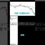 ブラックマンデー直前の土日のビットコイン相場を観察してみただけの動画おまけあり
