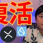 ビットコイン10万ドル アルト強気に復活!! イーサリアム年末5,000ドル超の確率は？【仮想通貨 暗号資産 暗号通貨 BTC ETH XRP BNB SOL SUI RENDER UNI他 】