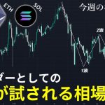トレーダーとしての実力が試される相場 | ビットコイン・イーサリアム・ソラナの今週の相場分析とトレード戦略【12/29～1/5】【仮想通貨】