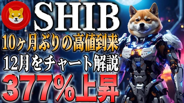 シバコイン最新！現在価格上昇中！12月に利益をとる方法とは？【ビットコイン】【イーサリアム】【シバコイン】【shib】【ドージ】【リップル】【XRP】【doge】【仮想通貨】【xrp】