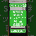 【2024年12月13日(金)】楽天・SBI証券・ビットコイン「資産の推移」→￥8,200,606円！#積立ニーサ
