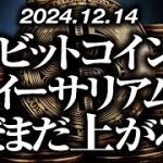 ビットコイン・イーサリアムまだまだ上がる！？［2024/12/14］【仮想通貨・BTC・ETH・FX】※2倍速推奨