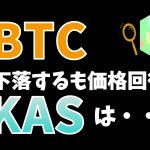 ビットコイン一時下落するも価格回復！カスパもあわせて下落したが…【暗号資産(仮想通貨)保有額共有20241215時点】Price fluctuations of BTC & KAS