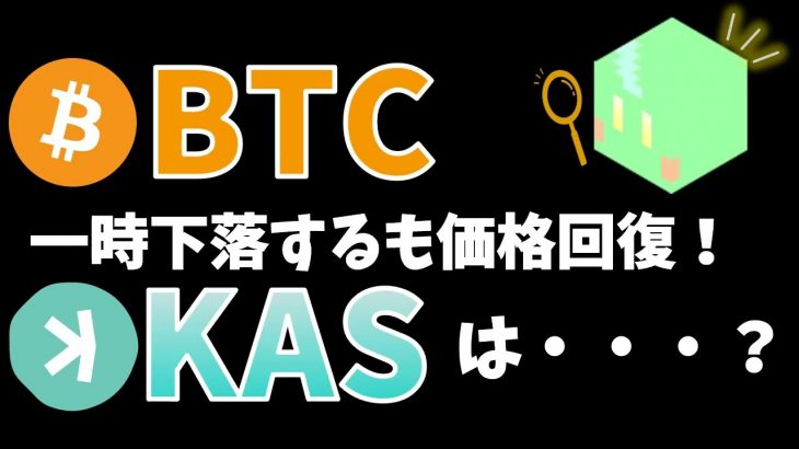 ビットコイン一時下落するも価格回復！カスパもあわせて下落したが…【暗号資産(仮想通貨)保有額共有20241215時点】Price fluctuations of BTC & KAS