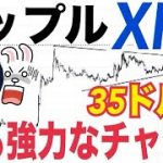 イーサリアム年末5000ドル突破10%未満！？リップル（XRP）仮想通貨全体で「最も強気チャート」5ドルから35ドルまでの価格予測！？