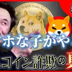 【生放送】相場分析　DOGE（ドージ）、SHIB（シバ）　「仮想通貨youtuberのミームコイン動画はフェイクニュースです」明日、爆発の準備ができている 3つの仮想通貨！