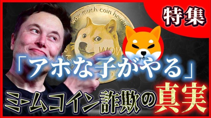 【生放送】相場分析　DOGE（ドージ）、SHIB（シバ）　「仮想通貨youtuberのミームコイン動画はフェイクニュースです」明日、爆発の準備ができている 3つの仮想通貨！