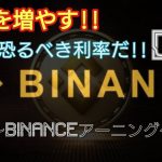 恐るべき利率だDefi‼　BINANCE編‼【資産を増やす‼】