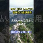 仮想通貨の種類と特徴～Episode1～BTC（ビットコイン）世界初の仮想通貨
