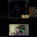 Ethereum Insights  HODLing the Next Big Tokens