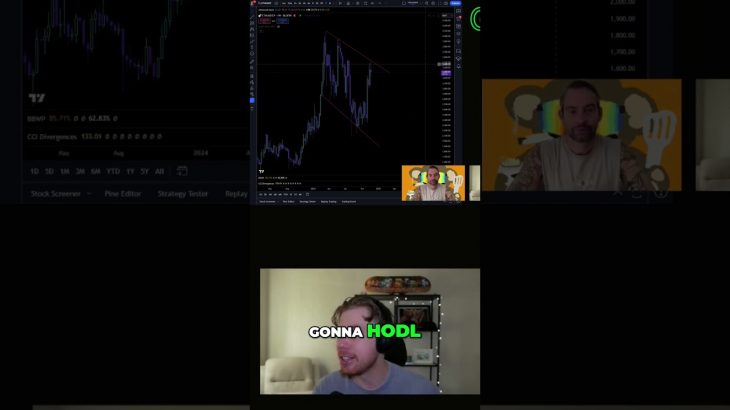 Ethereum Insights  HODLing the Next Big Tokens