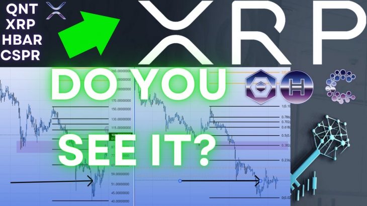 PRICE CHARTS FOR ALTS 💥 Ripple XRP Price 🌊 Quant QNT Hedera HBAR Casper CSPR 💥 WATCH ALL✔️