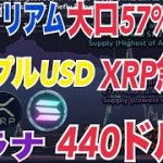 イーサリアム大口投資家長期的に強気！？リップルUSD取引開始でXRP急騰！？ソラナ長期目標価格440ドルか！？