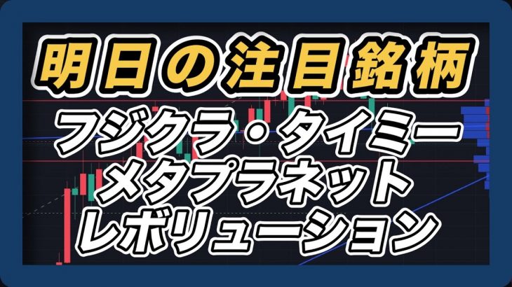 【明日の注目銘柄　ビットコインは調整入りでメタプラは下落リスク大　指数＆個別株チャート分析】 フジクラ・revolution・タイミー・メタプラネット