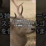 仮想通貨カルダノに関する興味深い雑学! #雑学#short #shorts #仮想通貨 #暗号資産 #ada #カルダノ