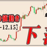 ビットコインに下落の条件がそろい始めてきました【リップル,ナスダック,ドル円,日経平均,ゴールド】