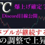 気にするな。まだまだビットコインは上昇する。