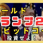 【トランプ2.0】今年はゴールド&ビットコインに注目せよ！石破茂言葉に責任持て【玉木生配信まとめ】